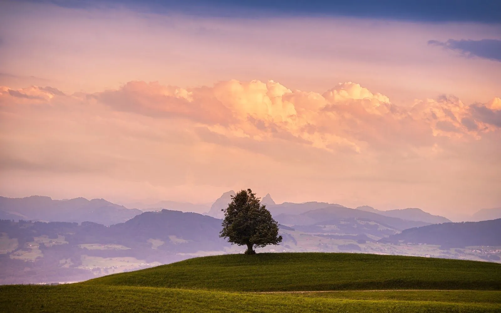 Árbol en las Montañas - Fondos de Pantalla HD - Wallpapers HD