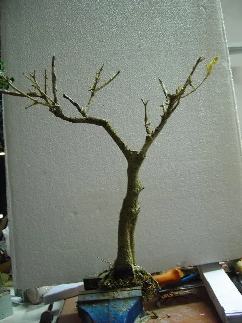 Como hacer un árbol con tronco de bonsai.