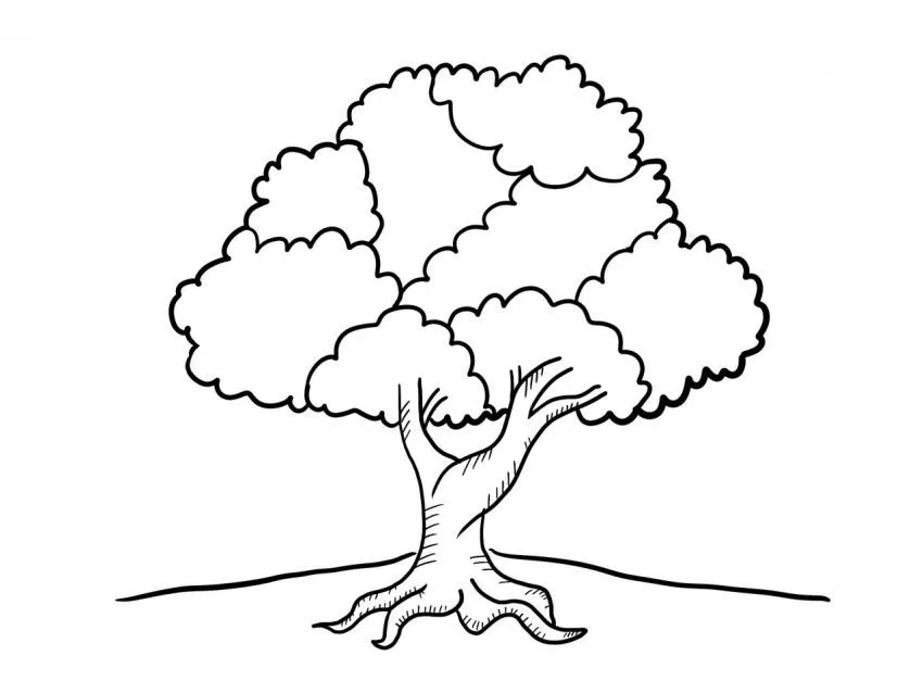 Árbol de valores - Dibujo #212 - Dibujalia - Dibujos para Colorear y  Recursos Educativos