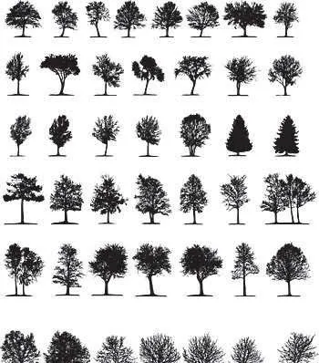 Vector tree silhouettes ,Vectorial de siluetas de árboles | Max ...