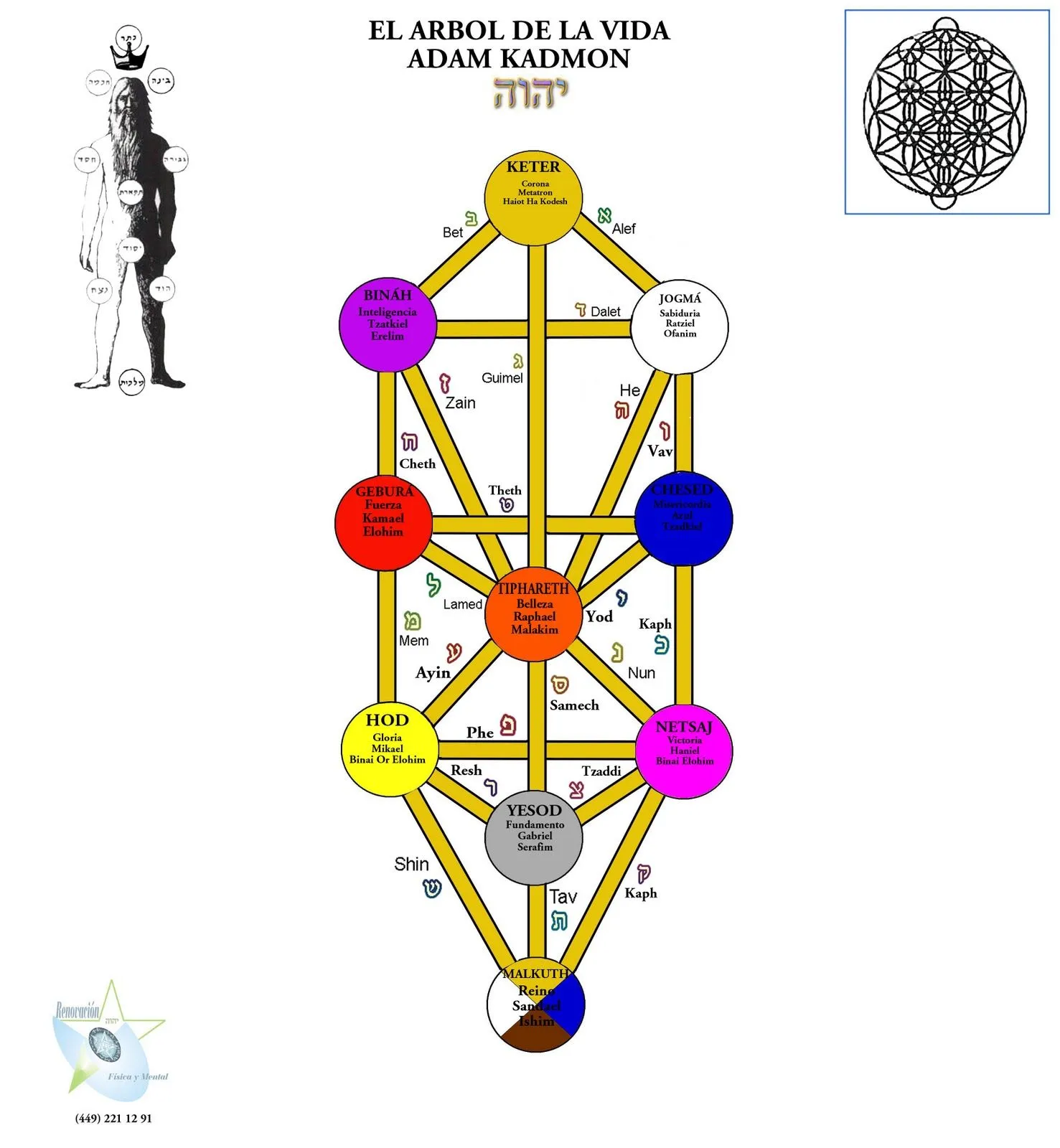 EL ARBOL DE LA VIDA: El Árbol de la Vida de la Cábala