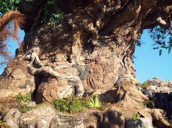 Árbol de la vida - Picture of Disney's Animal Kingdom, Orlando ...