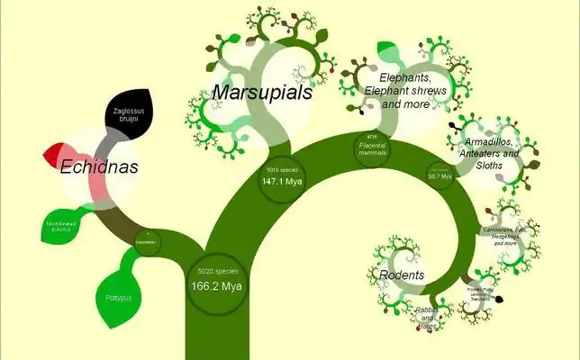 El primer árbol de la vida en internet - ABC.es