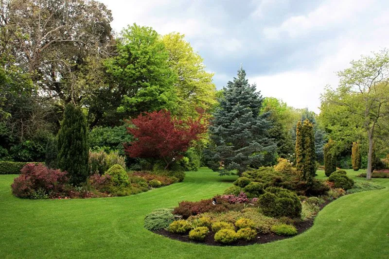 Árboles, arbustos y flores en los jardines de Merrion Square, Dublín