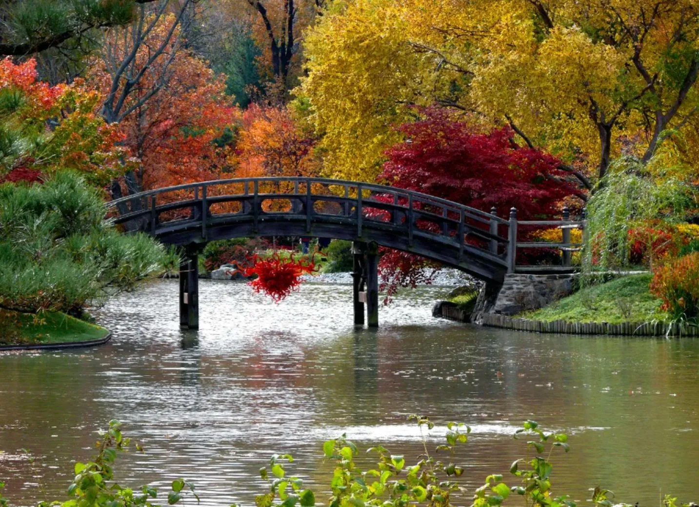 Árboles de Colores y Jardín Japones - Taringa!