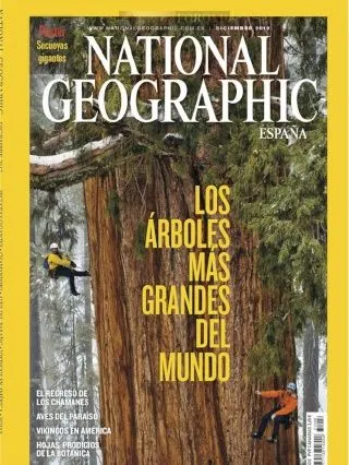 Los árboles más grandes del mundo (diciembre 2012)-PDF Descargar ...