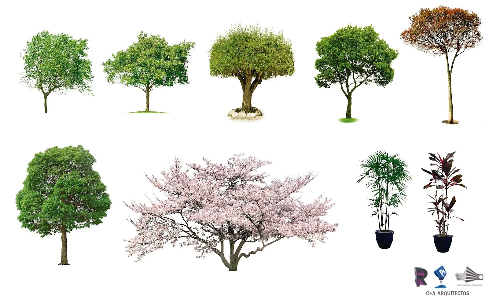 Arboles de Photoshop - Imagui