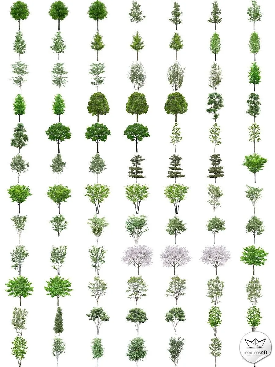 Árboles en PNG de alta resolución (PNG Transparent Trees) | Recursos ...