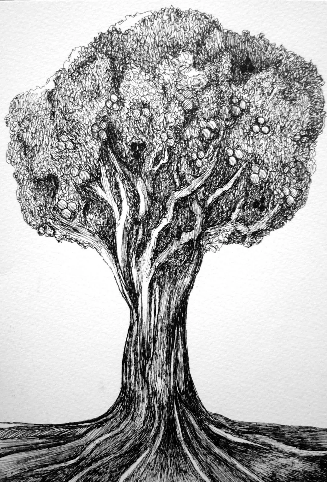 Árbol" Dibujo realizado por Paula Plaza | Paula Plaza Moreno