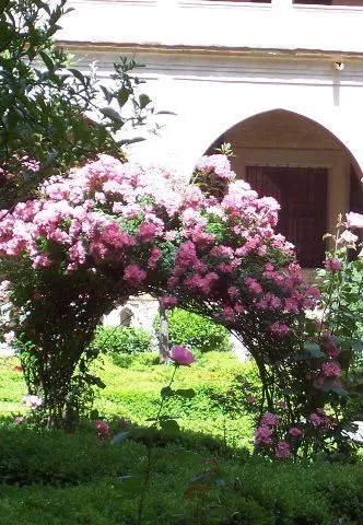 Arch of flowers. Arco de flores | Flickr - Photo Sharing!