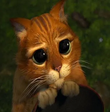 Archivo:Gato 2.jpg | Shrek Wiki | Fandom powered by Wikia