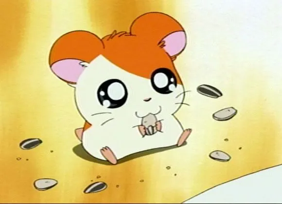 Archivo:Hamtaro comiendo semillas.jpg - Hamtaro Wiki