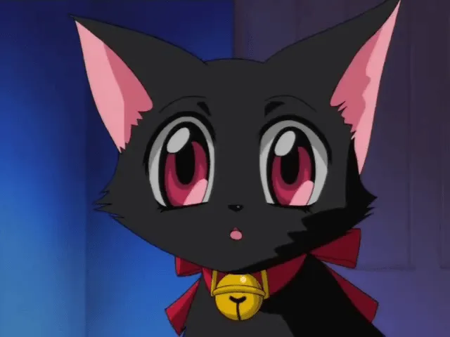 Archivo:Ichigo como gato (Anime).png - Wiki Tokyo Mew Mew