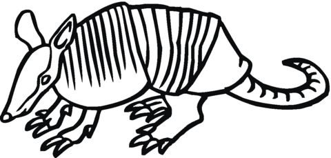 Armadillos coloring pages | Super Coloring