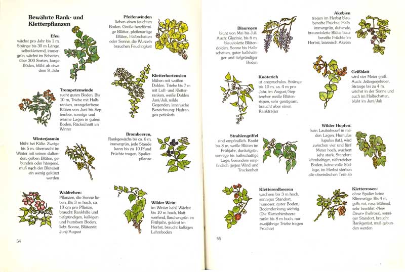 Arqueología del Futuro: MUROS VEGETALES [Cuando no estaban de moda ...