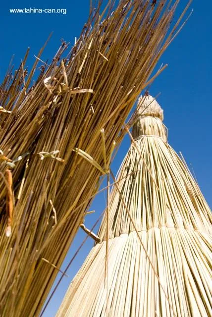 Arquitectura de Casas: Casas de totora tradicionales en Bolivia.