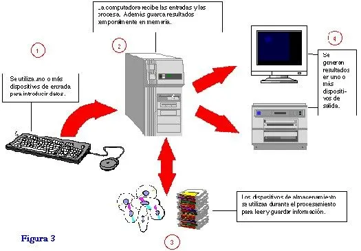 Conceptos esenciales de las computadoras