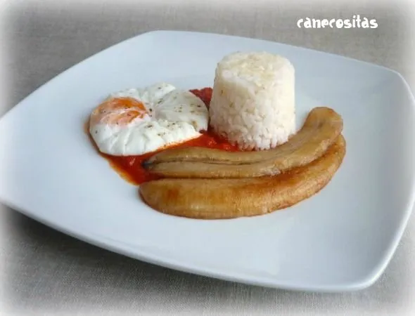 Arroz a la cubana 4x1 - Recetariocanecositas.