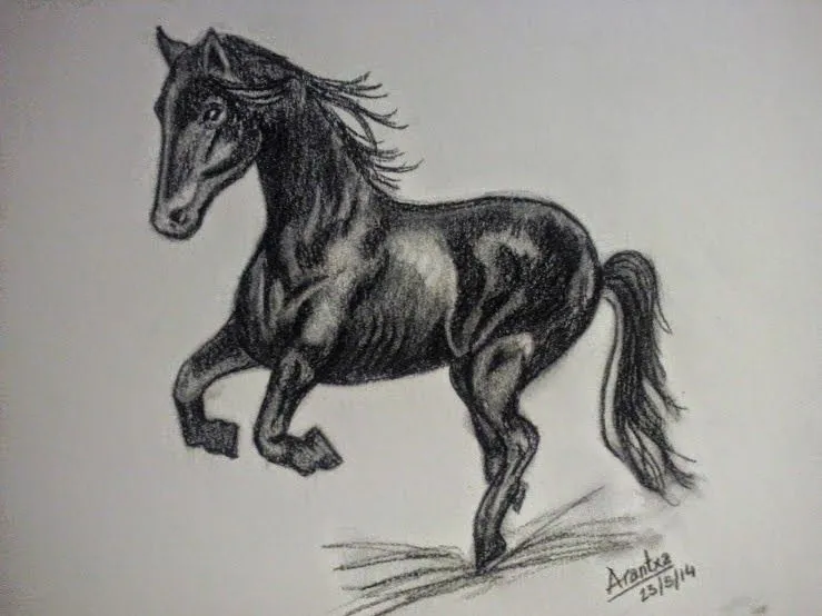 El arte de Arantxa: Cómo dibujar un caballo paso a paso