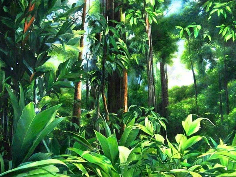 Arte: Cuadros bosques tropicales, "Naturaleza al Óleo" | Arte ...