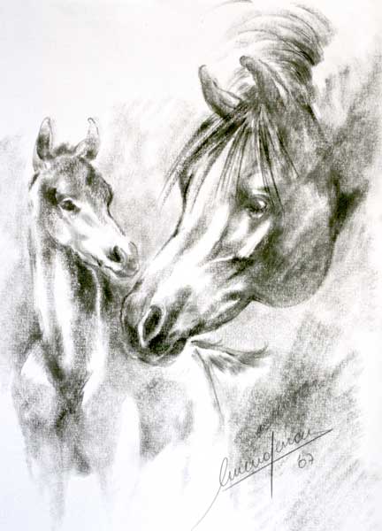 dibujo_de_caballos