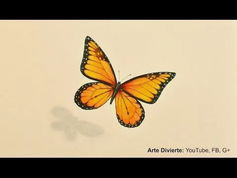 Cómo dibujar una mariposa monarca - Arte Divierte - YouTube