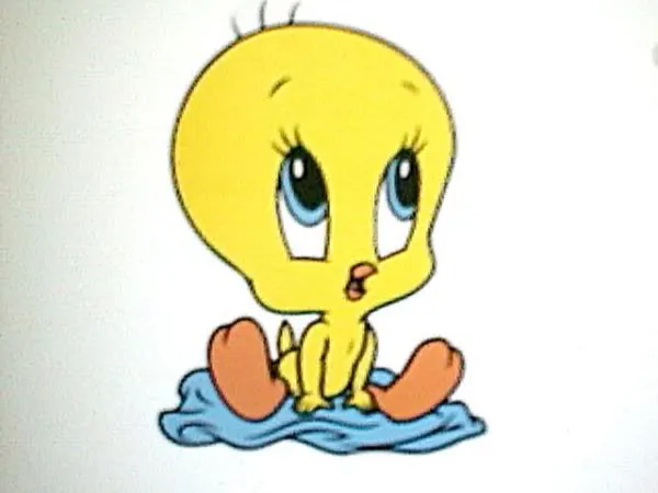 Tweety baby - Imagui