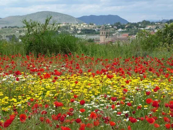 ARTE Y JARDINERÍA DISEÑO DE JARDINES: JARDINERÍA DE FLORES ...