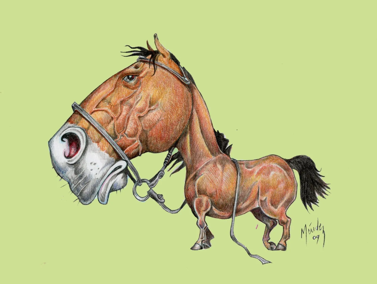 el arte de méndez: caricatura de un caballo según yo,.