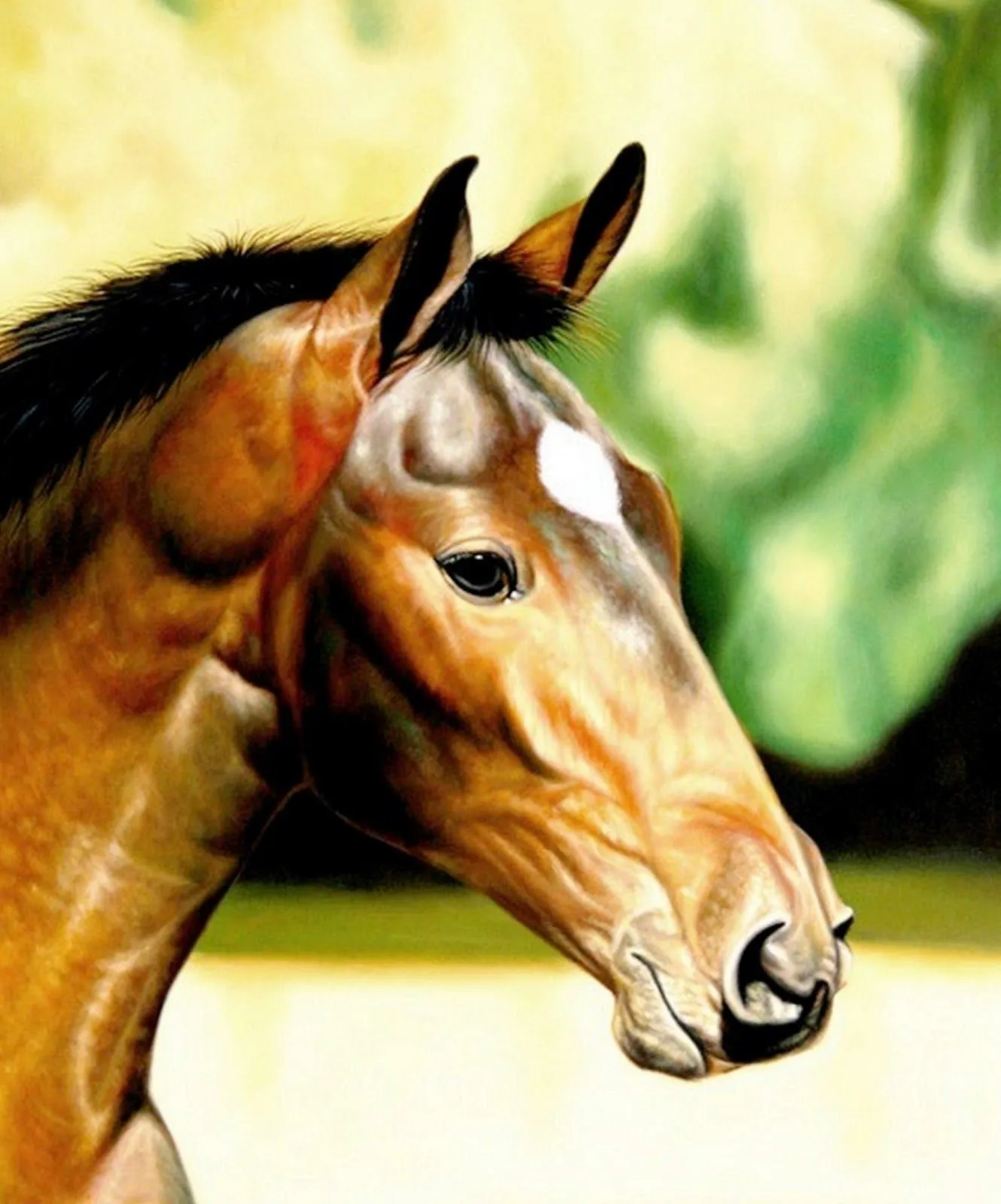 El arte pintura caballo | Arte Pinturas al Óleo