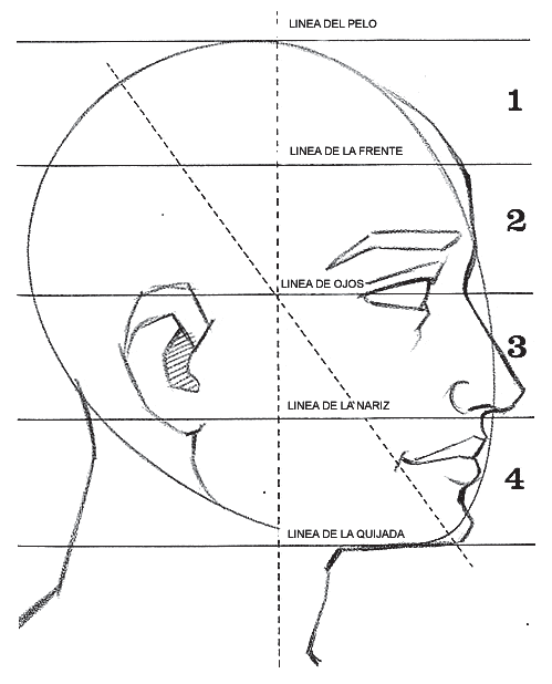 Dibujos de perfiles de rostros - Imagui