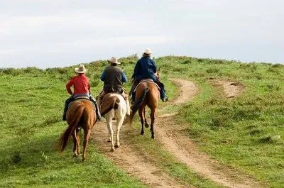 artes visuales: Paisaje rural