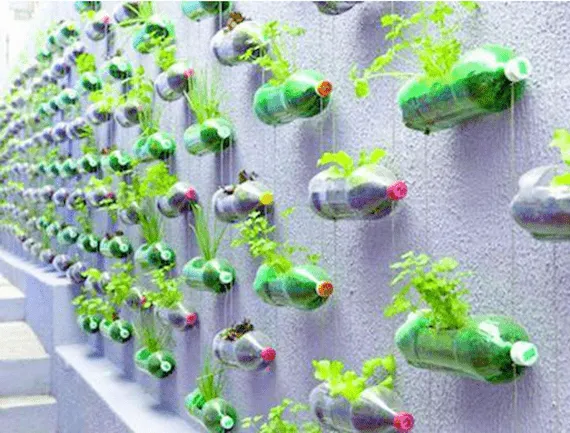 Artesanatos com garrafa PET: 7 ideias criativas