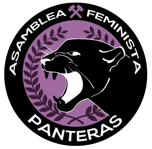 Asamblea Feminista Panteras: QUIÉNES SOMOS