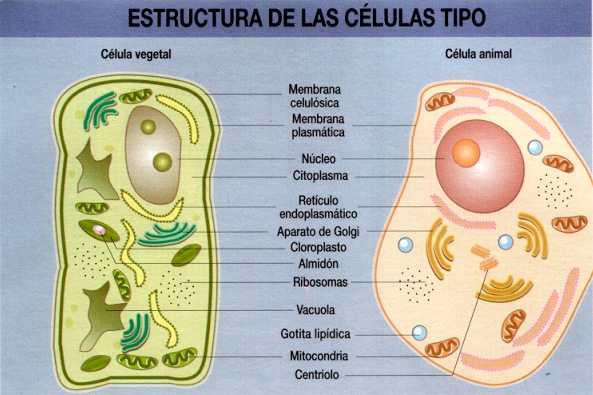 Asesoría de Ciencias Grupo Kepler