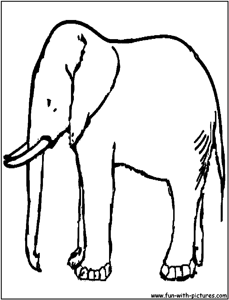 Asian Elephant Colouring Pages