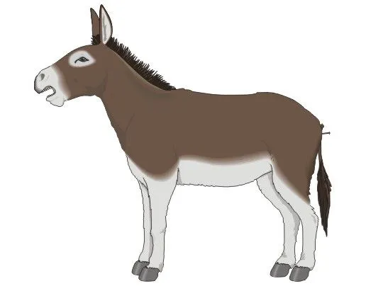 Asno o burro. | LOS ANIMALES DOMESTICOS.