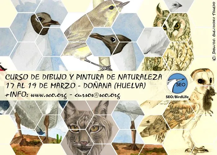 Asociación Española de Artistas de la Naturaleza