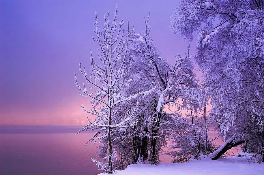 Asombrosos Ejemplos de Fotografías con Paisajes Invernales ...