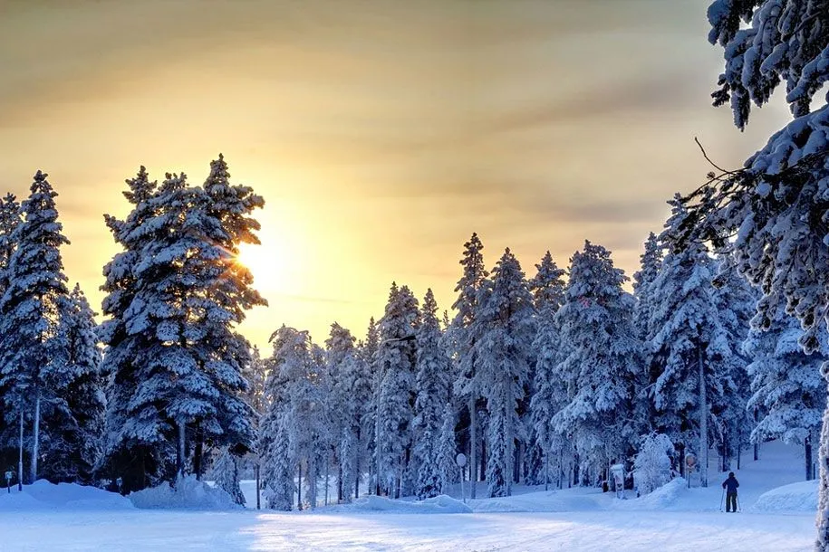 Asombrosos Ejemplos de Fotografías con Paisajes Invernales ...