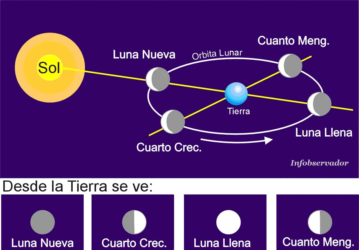 Astronomia y telescopios - Infobservador,