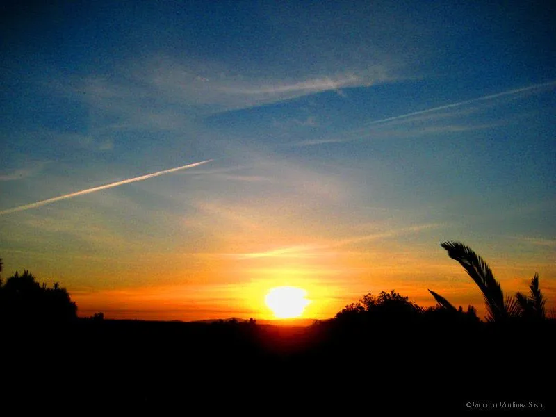 atardecer | De mi cabeza a tus ojos.