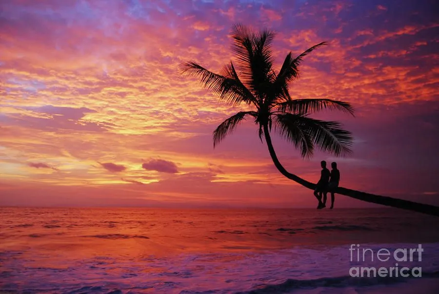 Atardecer En La Palmera Playa Blanca by Cesar Marino - Atardecer ...