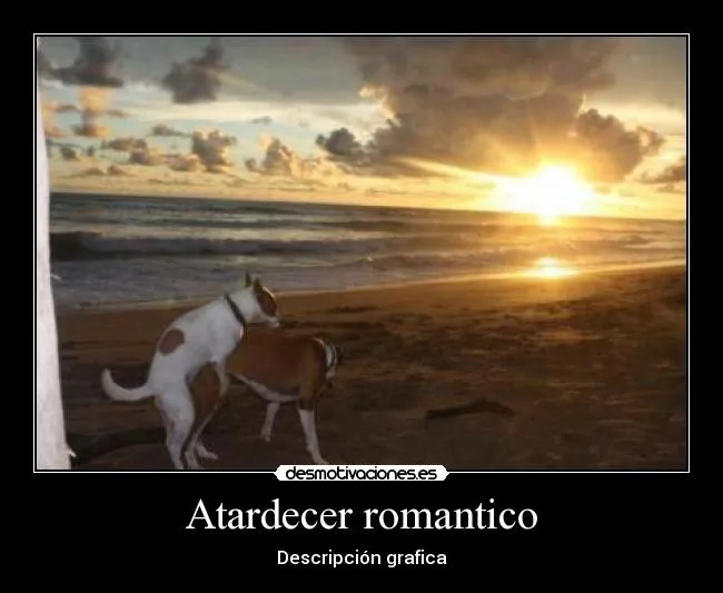 Atardecer romantico | Desmotivaciones