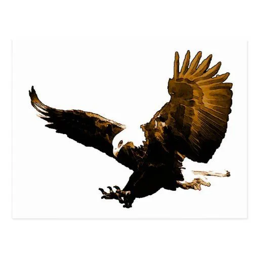 Aterrizaje de Eagle Tarjetas Postales | Zazzle