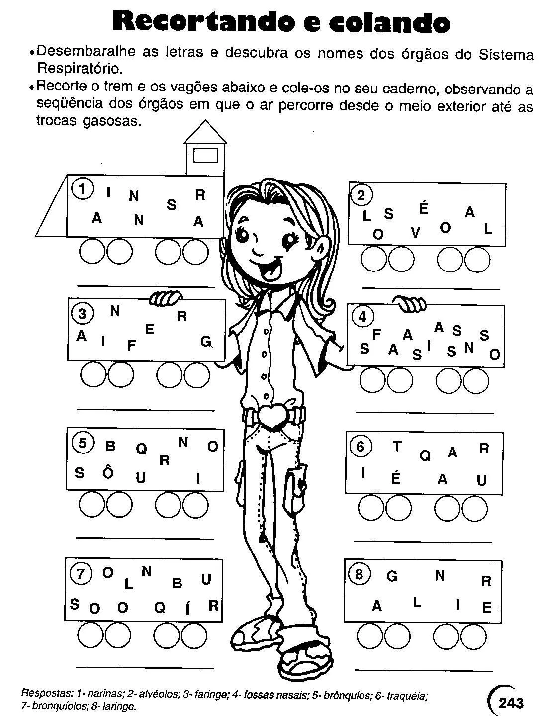 ATIVIDADES CORPO HUMANO 3° 4° 5° 6° ANOS EXERCÍCIOS CIÊNCIAS PARA ...