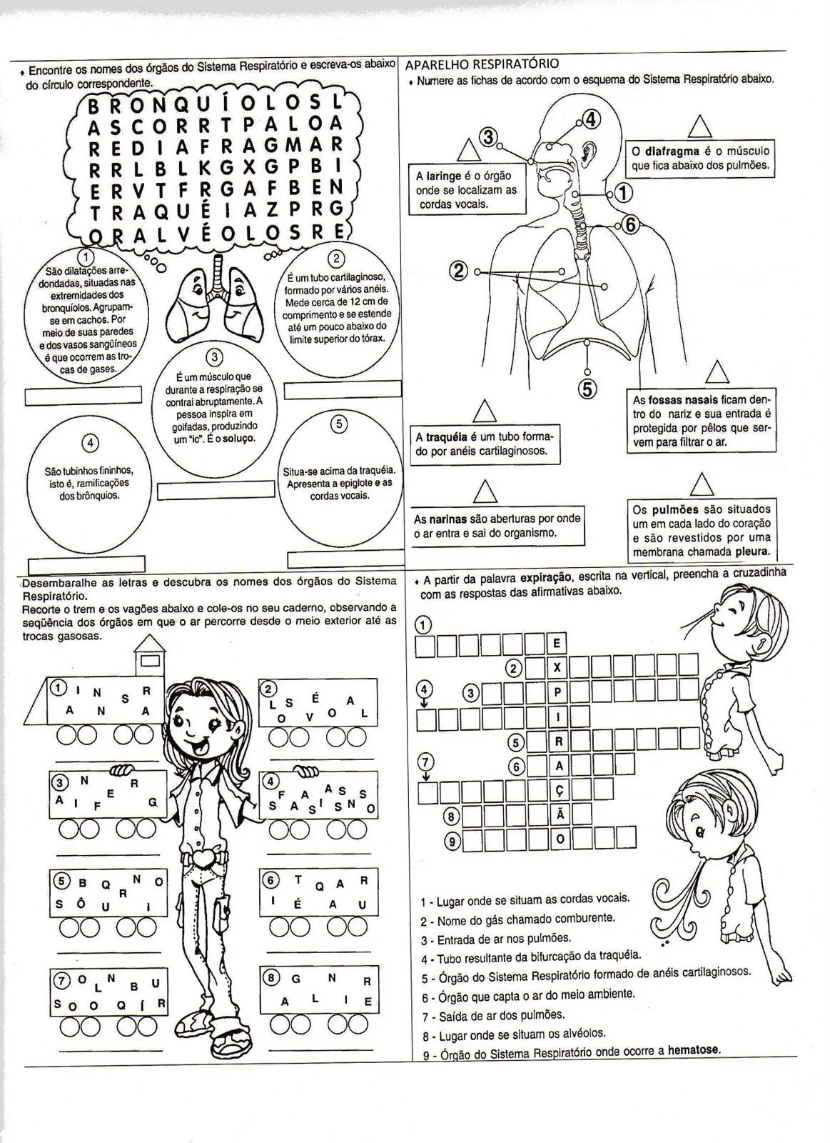 ATIVIDADES DIVERSAS CLÁUDIA: ATIVIDADES DE CIÊNCIAS