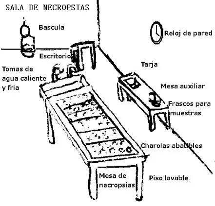 Atlas de medicina forense (página 2) - Monografias.com