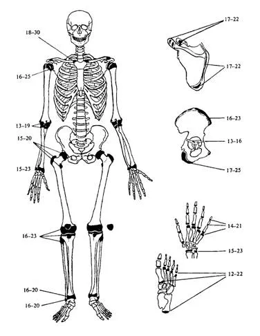 Atlas de osteología humana - Monografias.