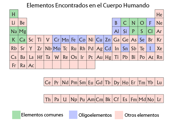 Atomos y la vida | ASU - Ask A Biologist